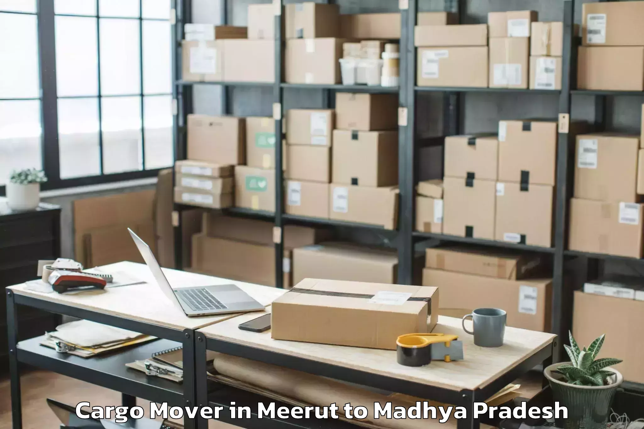 Efficient Meerut to Sanwer Cargo Mover